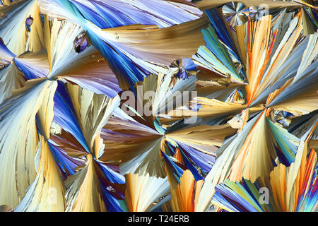Kristalle von Konservierungsmittel, Zitronensäure, Mikroskop Bild fotografiert in Cross-polarisiertem Licht Stockfoto