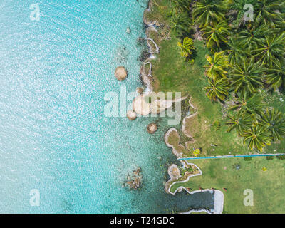Mexiko, Yucatan, Quintana Roo, Lagune von Bacalar, Palm treee am türkisblauen Wasser, drone Bild Stockfoto