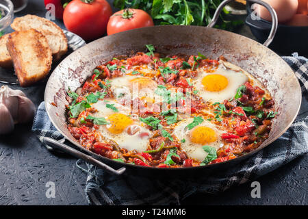 Shakshuka in der Pfanne. Im Nahen und Mittleren Osten traditionelles Gericht mit Spiegelei, Tomaten, Paprika, Gemüse und Kräuter. Stockfoto