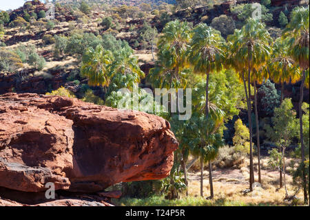 Dramatische Landschaft von Palm Valley, Northern Territory, Australien Stockfoto