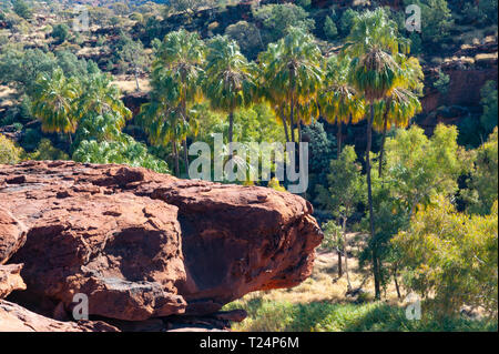 Dramatische Landschaft von Palm Valley, Northern Territory, Australien Stockfoto