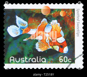 Australien - ca. 2010: einen Stempel in Australien gedruckten zeigt ein Bild von süßlippen (Plectorhinchus chaetodonoides Beschmutzt) Coral glauben, erfinderisch, ca. Stockfoto