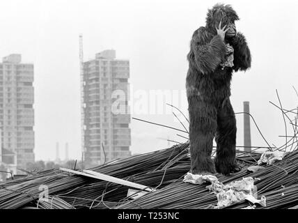 Morgan - ein Fall für die Behandlung (1966) Datum: 1966 Stockfoto