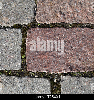 Schöne Erdgeschoss mit grau und rosa Tile-geformten Felsen. Dies ist im freien Bodenbeläge und es gibt wenig Grün Pflanzen und Blumen wachsen. Stockfoto