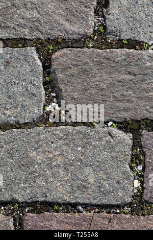 Schöne Erdgeschoss mit grau und rosa Tile-geformten Felsen. Dies ist im freien Bodenbeläge und es gibt wenig Grün Pflanzen und Blumen wachsen. Stockfoto