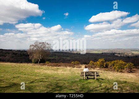Blick über Ashdown Forest im Frühjahr an einem sonnigen Tag Stockfoto