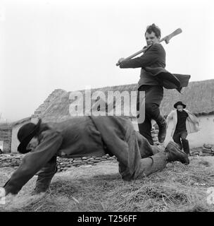 Playboy von der westlichen Welt (1962) Gary Raymond, Datum: 1961 Stockfoto