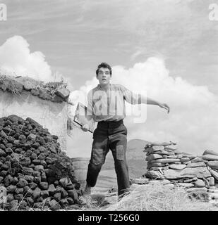 Playboy von der westlichen Welt (1962) Gary Raymond, Datum: 1961 Stockfoto