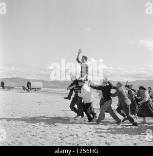 Playboy von der westlichen Welt (1962) Gary Raymond, Datum: 1961 Stockfoto