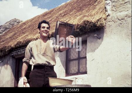 Playboy von der westlichen Welt (1962) Gary Raymond, Datum: 1961 Stockfoto