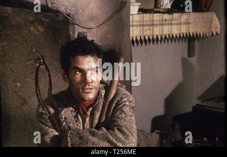 Playboy von der westlichen Welt (1962) Gary Raymond, Datum: 1961 Stockfoto