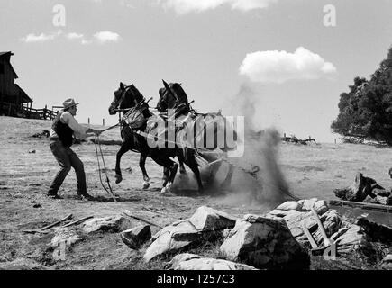 Der rote Pony (1973) Henry Fonda, Datum: 1973 Stockfoto