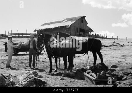 Der rote Pony (1973) Henry Fonda, Datum: 1973 Stockfoto