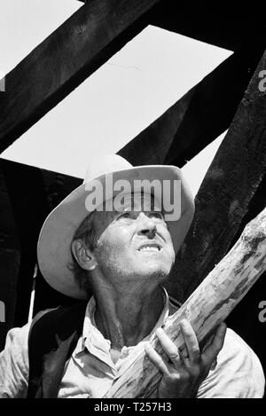 Der rote Pony (1973) Henry Fonda, Datum: 1973 Stockfoto