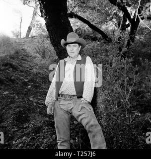 Der rote Pony (1973) Ben Johnson, Datum: 1973 Stockfoto