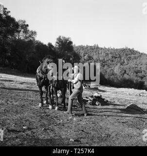 Der rote Pony (1973) Henry Fonda, Datum: 1973 Stockfoto
