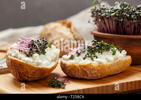 Sandwiches mit Hüttenkäse und Rotkraut Sprossen auf einem Schneidebrett Stockfoto