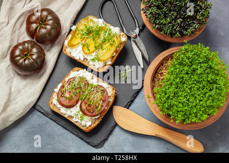 Sandwiches mit Quark und Kresse Stockfoto