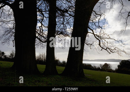 Contre-jour Schuß von Tor Bay von East Cliff Park, Teignmouth, Devon Stockfoto