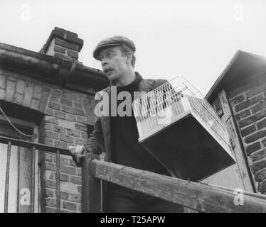 Spatzen können nicht singen (1962) Brian Murphy, Datum: 1962 Stockfoto