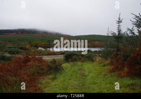 Loch Asgog. Der Loch Lomond und Cowal Weg. Halbinsel Cowal. Hochland. Schottland. Großbritannien Stockfoto