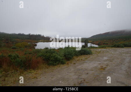 Standing Stone. Loch Asgog. Der Loch Lomond und Cowal Weg. Halbinsel Cowal. Hochland. Schottland. Großbritannien Stockfoto