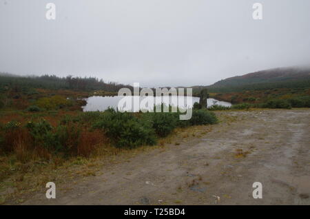 Loch Asgog. Der Loch Lomond und Cowal Weg. Halbinsel Cowal. Hochland. Schottland. Großbritannien Stockfoto