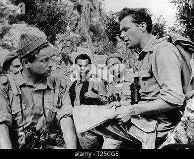 Sie, die es wagen, (1954), Denholm Elliott, Michael Mellinger, Gerard Oury, Dirk Bogarde, Datum: 1954 Stockfoto