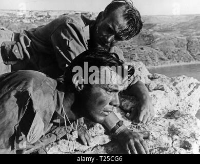 Sie, die es Wagen (1954) Dirk Bogarde, Denholm Elliott, Datum: 1954 Stockfoto