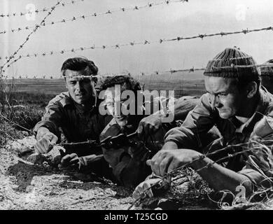 Sie, die es Wagen (1954) Dirk Bogarde, Sam Kydd, Denholm Elliott, Datum: 1954 Stockfoto