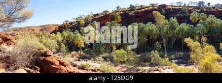 Dramatische Landschaft von Palm Valley, Northern Territory, Australien Stockfoto