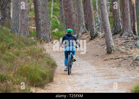 Ein einsam Radfahrer, der auf der Rundstrecke um Loch an Eilein in der Nähe von Aviemore, Schottland, unterwegs ist Stockfoto