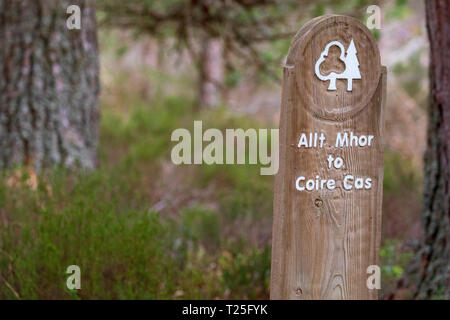 Allt Mhor, Bottighofen Cas Holz geschnitzt Walking post zeigt Richtung und Start der Wanderung in Glenmore Forest Park im Cairngorms Nationalpark, Aviemore Stockfoto