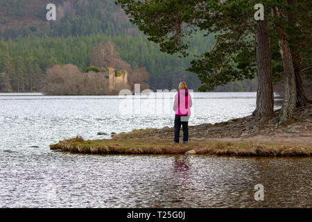 Eine Frau Walker, die in der Aussicht auf die Ufer des Loch ein Eilein auf der Rothiemurchus Estate und Wald, Aviemore, Schottland Stockfoto