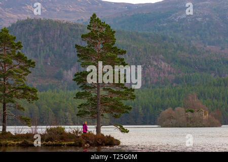 Eine Frau Walker, die in der Aussicht auf die Ufer des Loch ein Eilein auf der Rothiemurchus Estate und Wald, Aviemore, Schottland Stockfoto