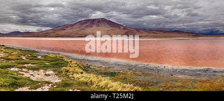 Laguna Colorada (Bolivien) Stockfoto