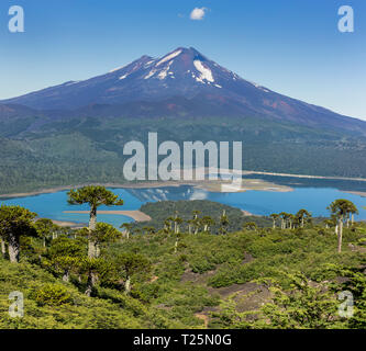 Vulkan Llaima im Nationalpark Conguillio (Chile) Stockfoto