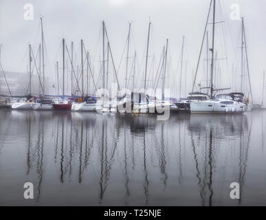 Yachten im Nebel Stockfoto