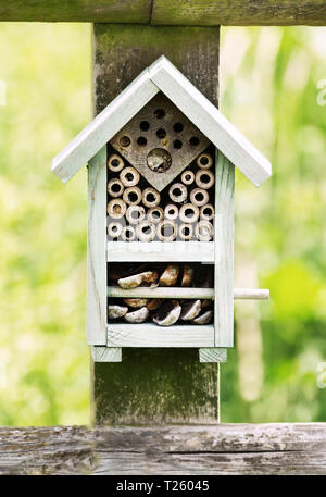Nahaufnahme eines Insekts Hotel auf einem hölzernen Pfosten. Stockfoto