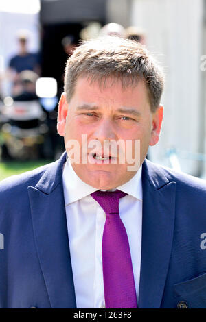 Andrew Bridgen MP (Con: North West Leicestershire) auf College Green, Westminster, 29. März 2019 Stockfoto