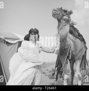 Wundervolles Leben (1964) Susan Hampshire, Datum: 1964 Stockfoto