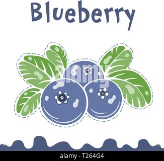 Blueberry Vektor-illustration, Beeren Bilder. Doodle Blueberry Vector Illustration in Violett, Blau und Grün. Blueberry Beeren Bilder für Menü Stock Vektor