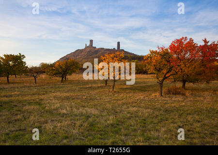 Berühmte Házmburk Schloss bei Sonnenuntergang. Zentrale Böhmisches Mittelgebirge, Tschechische Republik. An der Spitze des Berges befindet sich die Ruine einer mittelalterlichen Burg, von denen Stockfoto