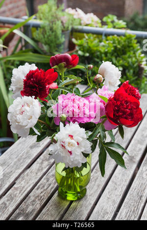 Reihe von weißen, roten und rosa Pfingstrosen in Vase auf Garten Tisch Stockfoto