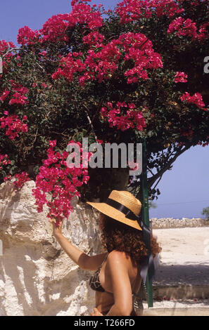 Insel Favignana Egadi Inseln, Provinz Messina, Sizilien, Italien Stockfoto