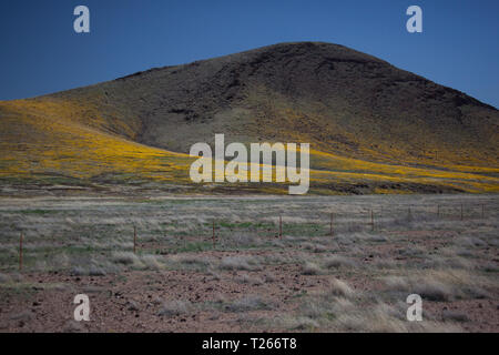 San Bernardino Valley, Cochise County, Arizona, USA Stockfoto