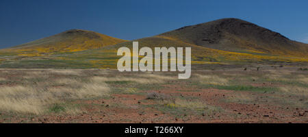 San Bernardino Valley, Cochise County, Arizona, USA Stockfoto