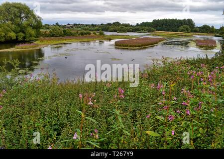 Kingsbury Water Park, North Warwickshire, England, Großbritannien Stockfoto