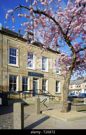 Ende März, Scottish Borders, Großbritannien - Cherry Blossom außerhalb einer haridressing Salon in Simon Square, Kelso, mit Auffahrrampen an Eintrag. Stockfoto