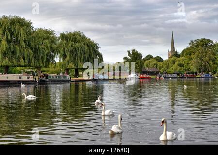 Aussicht auf den Fluss Avon in Stratford-upon-Avon, Warwickshire, England, Großbritannien Stockfoto